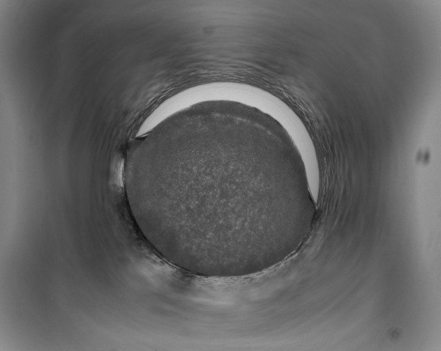 X0000099990041200806131445