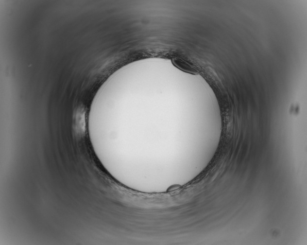 X0000099990042200806131445