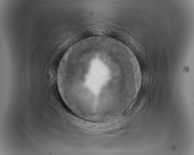 X0000099990043200806131445