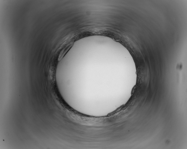 X0000099990044200806131445