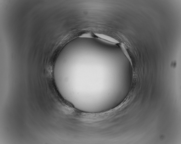 X0000099990045200806131445