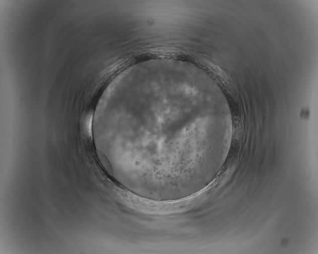 X0000099990047200806131445