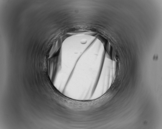 X0000099990048200806131445