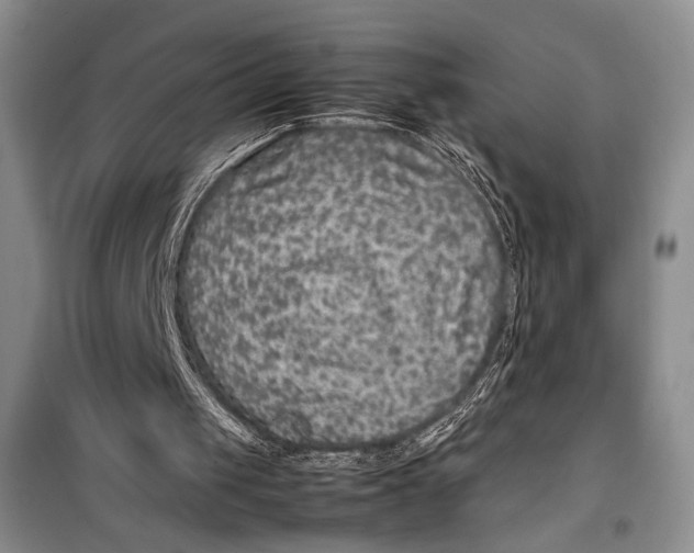 X0000099990049200806131444