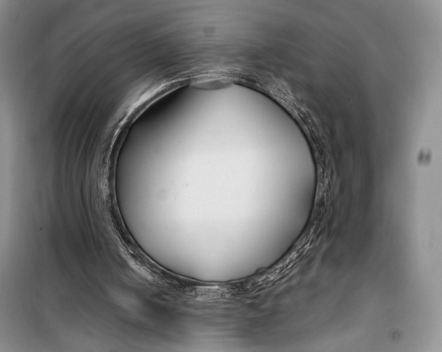 X0000099990050200806131444