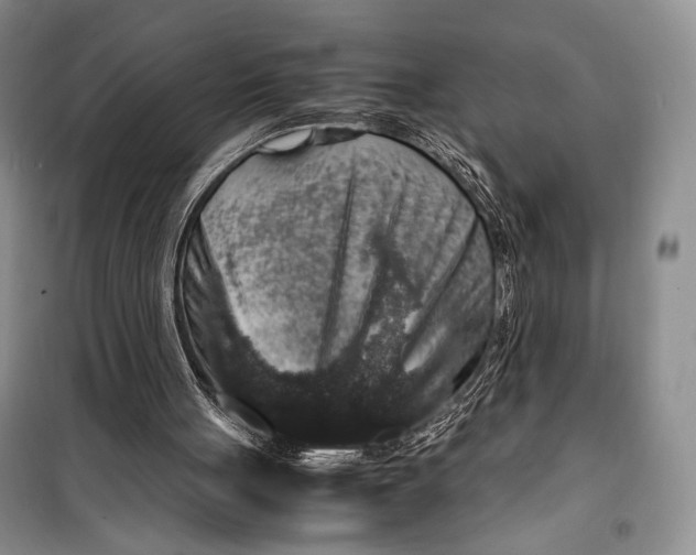 X0000099990051200806131444