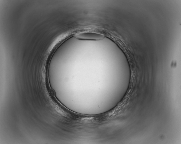 X0000099990054200806131444