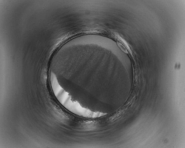 X0000099990059200806131444