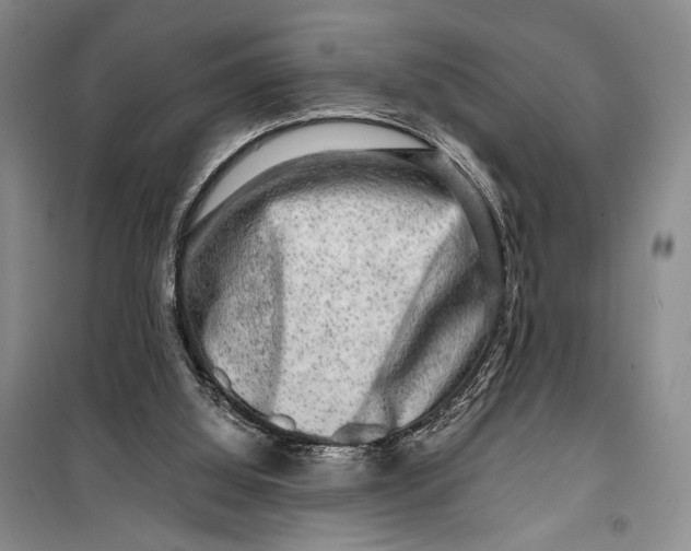 X0000099990060200806131444