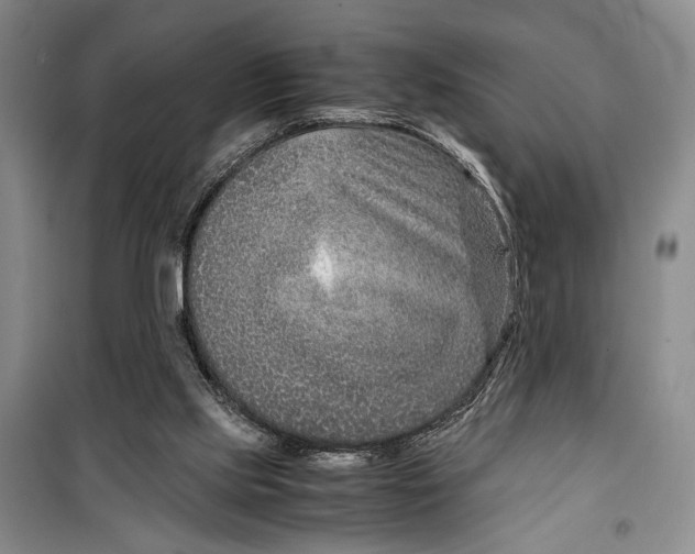 X0000099990061200806131444