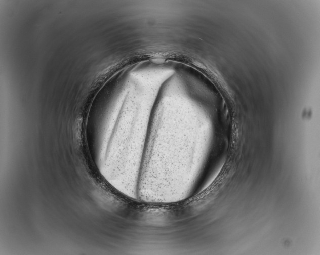 X0000099990066200806131444