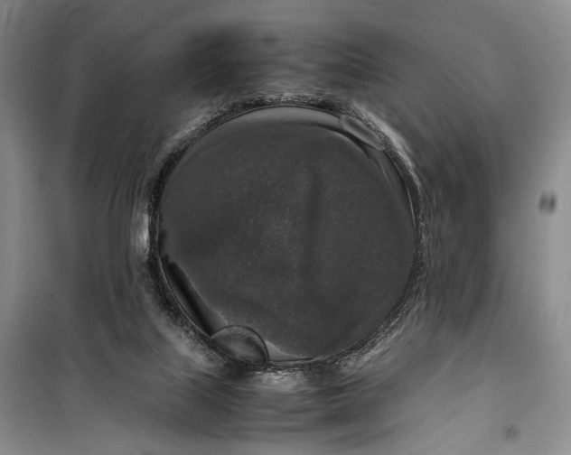 X0000099990067200806131444