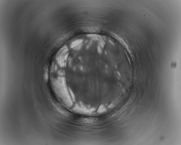 X0000099990069200806131444