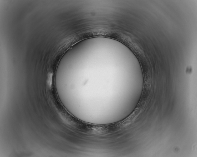 X0000099990070200806131444