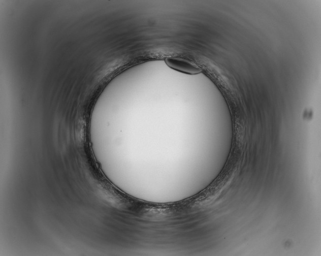 X0000099990071200806131444