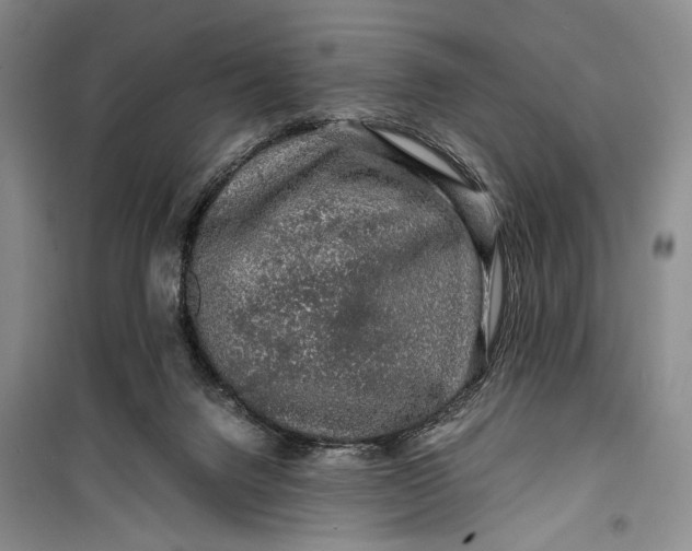 X0000099990072200806131444