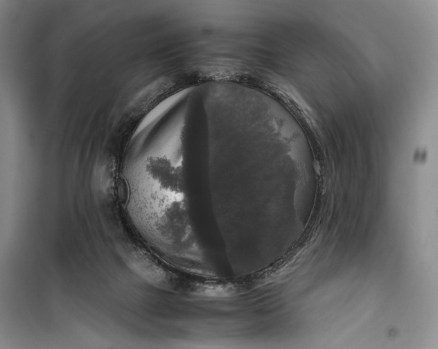 X0000099990073200806131444