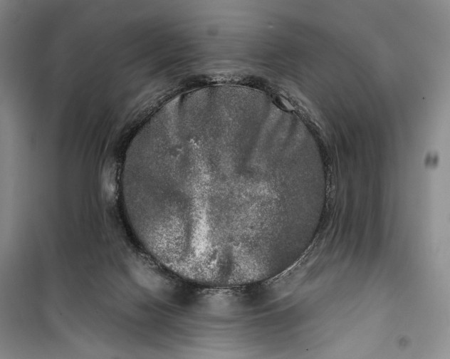 X0000099990074200806131444