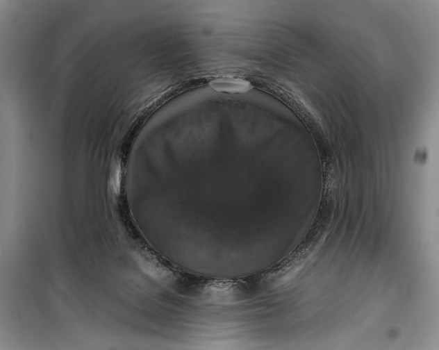 X0000099990076200806131444