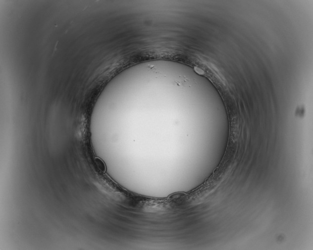 X0000099990077200806131444