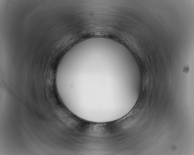 X0000099990078200806131444