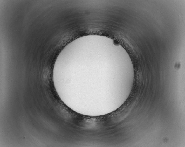 X0000099990079200806131444