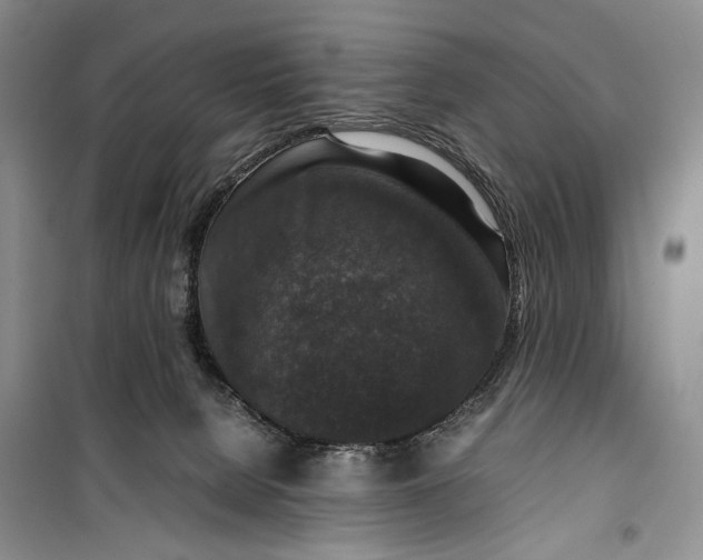 X0000099990080200806131444