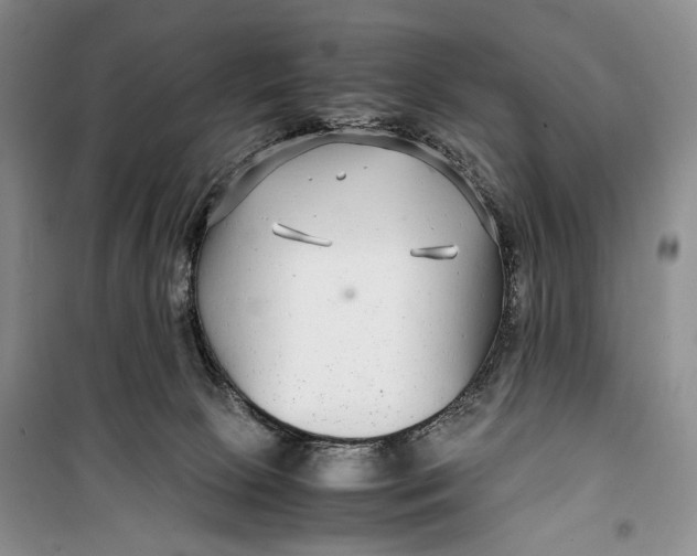 X0000099990081200806131444