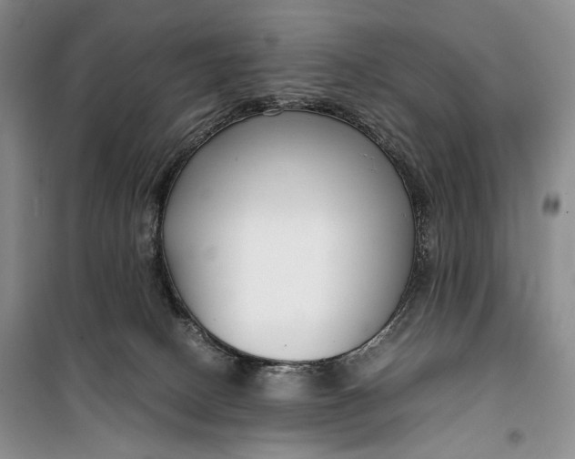 X0000099990082200806131444