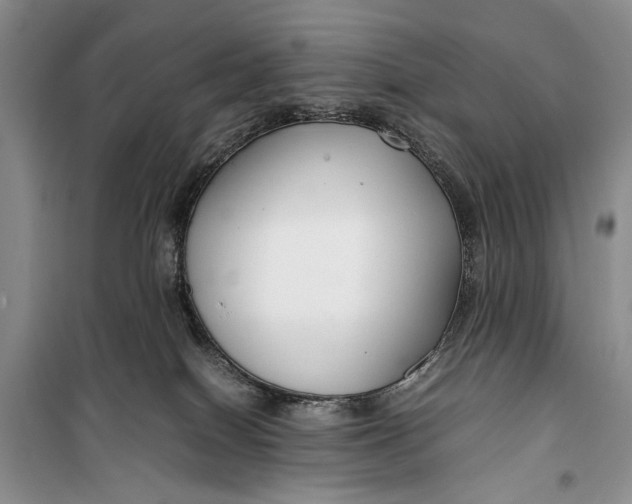 X0000099990086200806131444