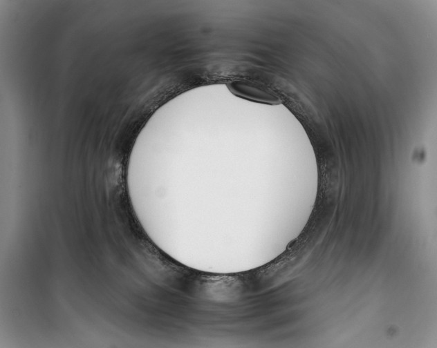 X0000099990087200806131444