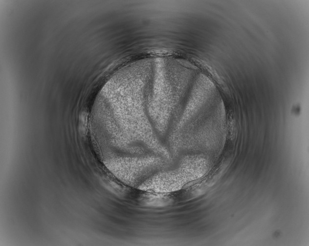 X0000099990093200806131444