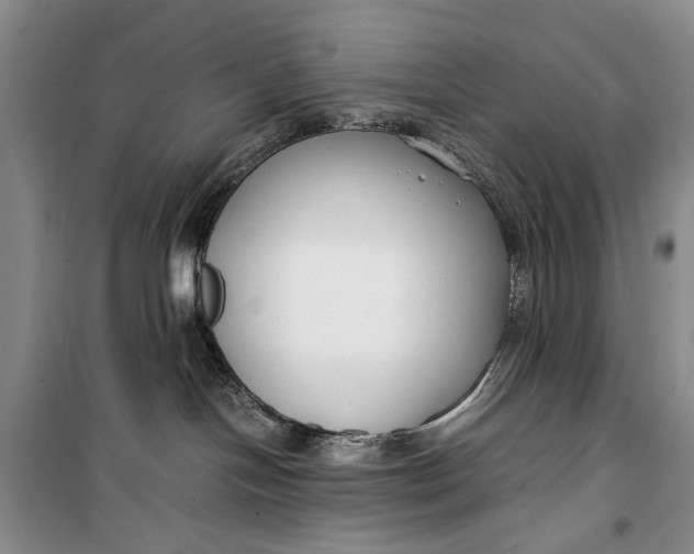 X0000099990094200806131445