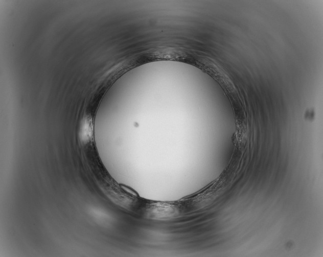 X0000099990095200806131445