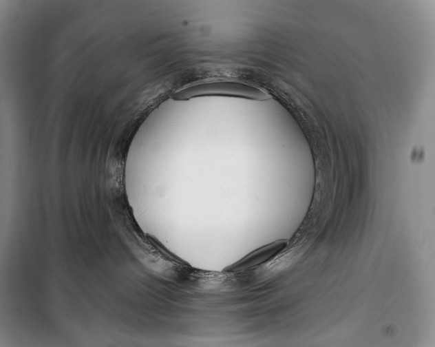 X0000099990096200806131445