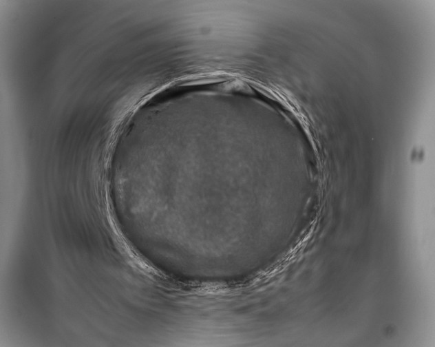 X0000099990097200806131444