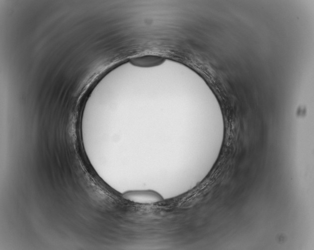 X0000099990098200806131444