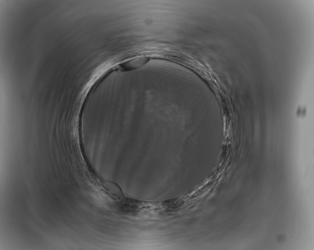 X0000099990099200806131444