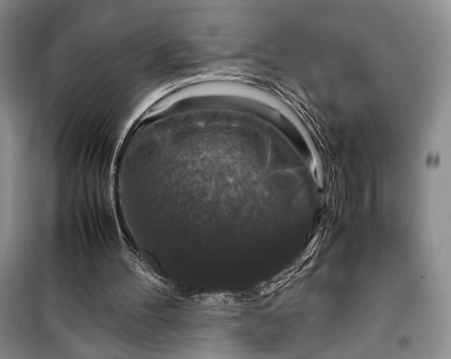 X0000099990100200806131444