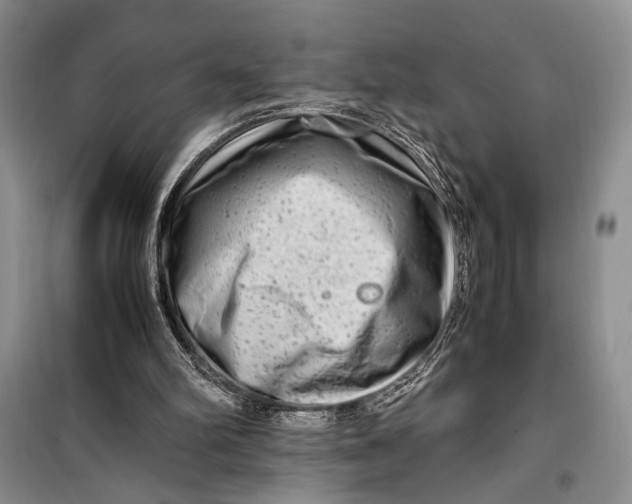 X0000099990102200806131444