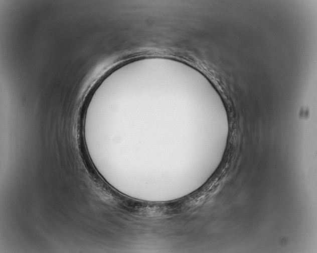 X0000099990103200806131444