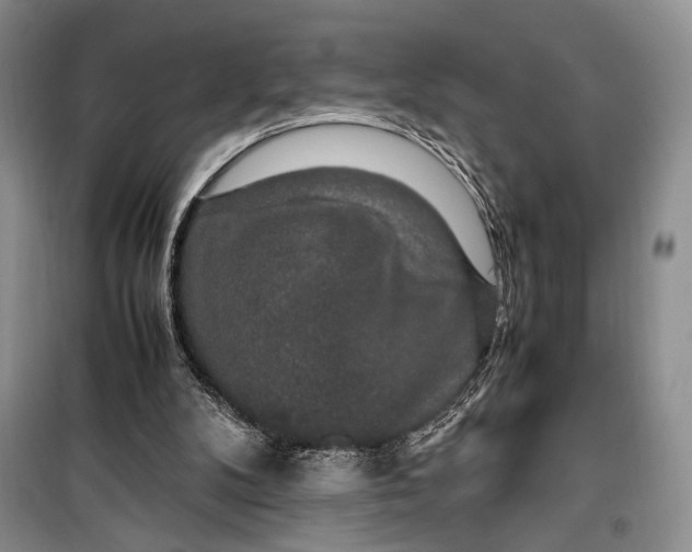 X0000099990104200806131444