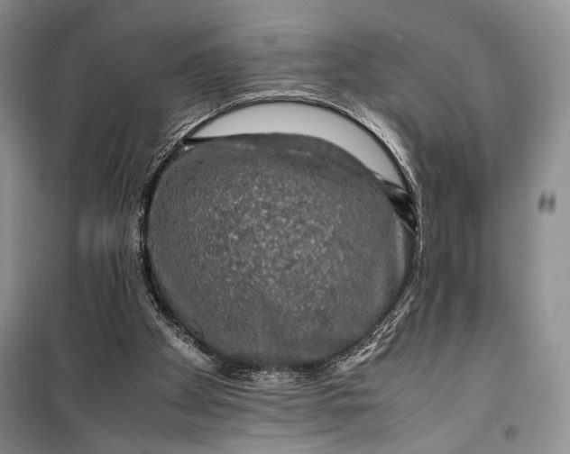 X0000099990105200806131444