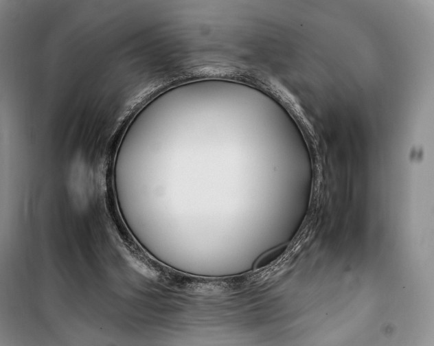 X0000099990106200806131444