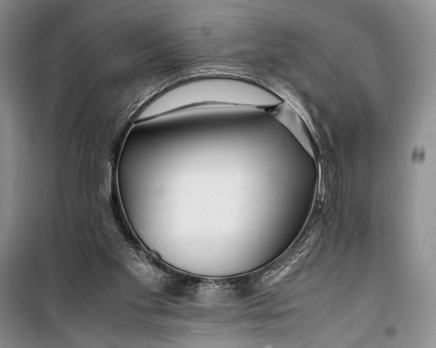 X0000099990109200806131444