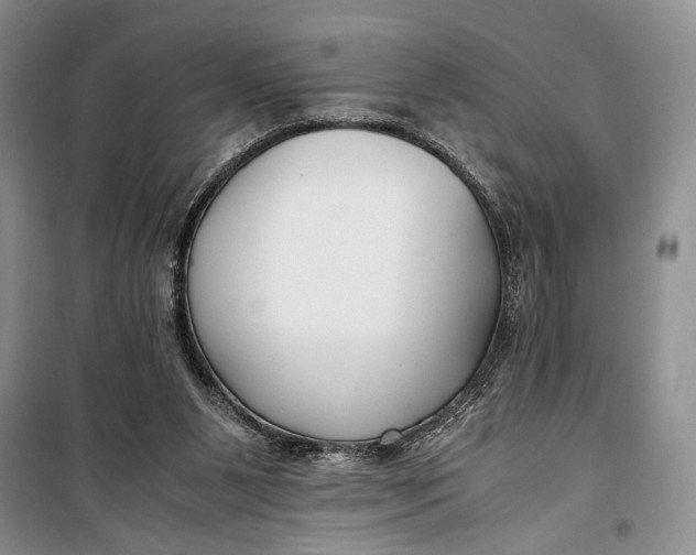 X0000099990111200806131444