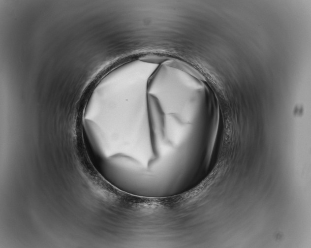 X0000099990112200806131443