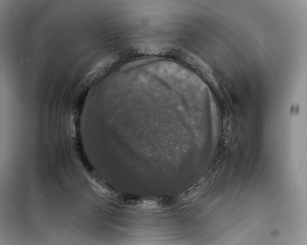 X0000099990114200806131443