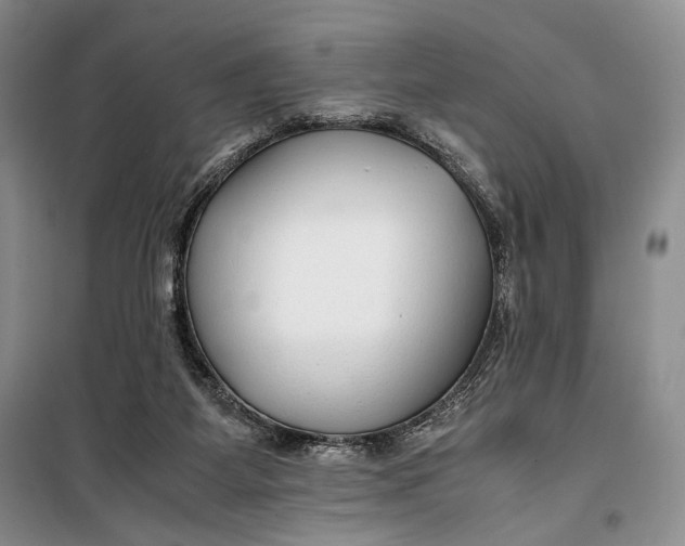 X0000099990115200806131443