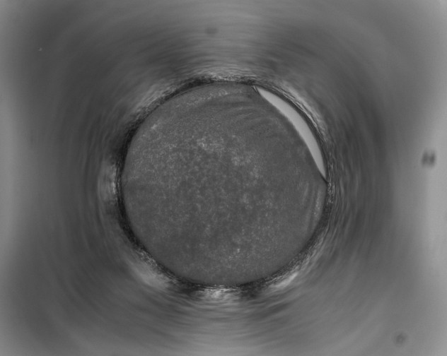 X0000099990117200806131443